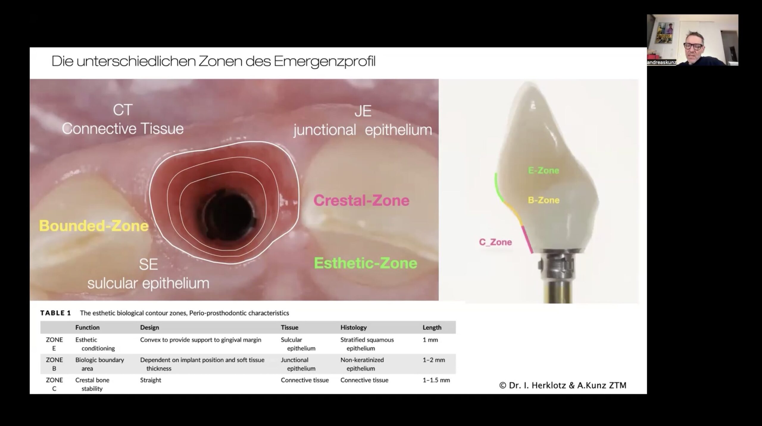 Video on demand: Das Emergenzprofil – die transmukosale Schnittstelle