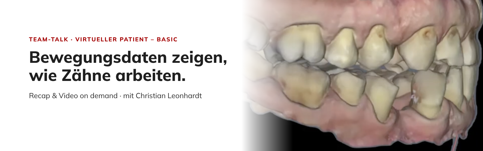 Der virtuelle Patient (Teil 1)